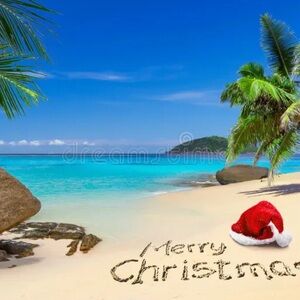 Happy Holidays and Merry Christmas